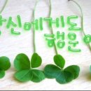 수려 이미지