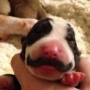 젠틀맨 펜션 이미지