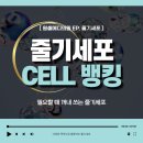원셀메디의원