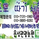 이은재농장 이미지