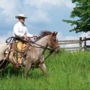 카우보이 이미지