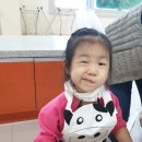 계룡목장 Daum카페