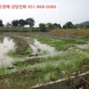 북동 배수장 이미지