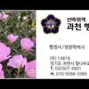 대안 행정사사무소 이미지