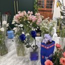 싱그러운상점