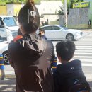 외동 협성엘리시안 앞 횡단보도 네이버블로그