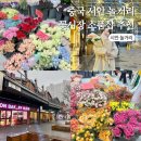 중국 시안 여행 놀거리 현지 추천 꽃시장 소품샵 파충류 파는 곳