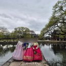 남원반야 | 남원 현지인한테 추천받은 광한루 한식 맛도리 맛집 - 반야돌솥밥