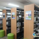 흥해읍 내맏이 이미지