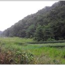 대가야 태양광발전소 이미지