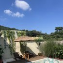 풍월주인 이미지