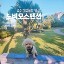 노비오스 이미지