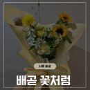 시흥 배곧 꽃집, 꽃처럼 미니꽃다발 포장후기 (feat.대만족)