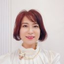 피토셀코리아