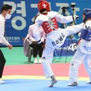 청솔태권도 이미지