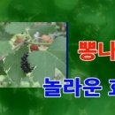 신만농장 이미지
