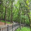 신정로(계남근린공원) 이미지