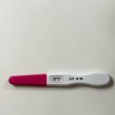 베일러이화산부인과의원 | [임신일지] 4-8주차 일상, 뽀우의 탄생 🌈 연애 5년, 신혼 2년을 즐긴 3년 차 부부 네 가족이 되었다. 🧑‍🧒‍🧒🐱