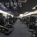 콤마짐 이미지