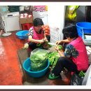 대현자원 이미지