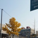 춘양약국 이미지