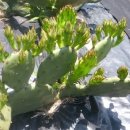 힘차게농장 이미지