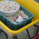 신당3리 이미지