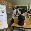 도원고등학교 이미지