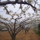 이화농장 이미지