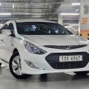 월드카프라자 이미지