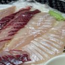 돌고래회수산 이미지