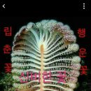 언제나 지금처럼