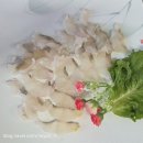봉포석이네횟집 | [강원 고성 자연산 모둠회 맛집] 봉포항활어회센터 석이네 | 서울에선 보기 힘든 회 3종, 스끼다시...
