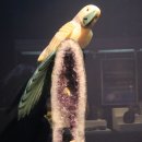 화당2리 이미지