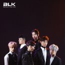 비엘케이글로벌