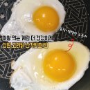 양구동물복지농장(주) | 매일 먹는 계란 고려닭이 낳은 난각번호1번계란 재래유정란 후기
