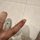 용인대 강원유도장 이미지