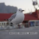 해질무렵민박 네이버블로그