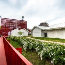 영월 Y파크(술샘박물관) 이미지