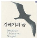 갈매기의 꿈 이미지