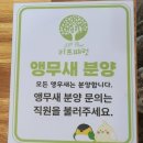 석전동214 | 창원 아이랑 가볼 만한 곳 이색 앵무새 카페 리프패럿 실내 데이트 장소(내 돈 내산)