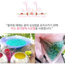 제제스토어