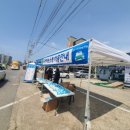 사강시장 이미지