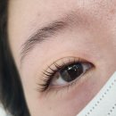 한코스메틱 | 판교에서 자연스럽게 또렷해진 눈매 ✨ 한 올 한 올 정성 느껴졌던 다이아코스메틱 방문 후기