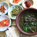 괴강올갱이해장국 티스토리