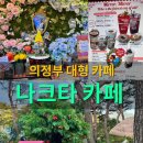 망월로 | [의정부 카페 추천] 의정부 대형카페 나크타 2026 최신 후기 (내돈내산/가격)