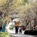 계척시목지 이미지