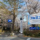 [웹디자인기능사] 웹디 실기 합격 후기