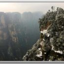 구령목장 이미지