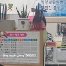 미사리세꼬시회